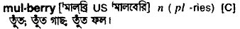 Mulberry meaning in bengali