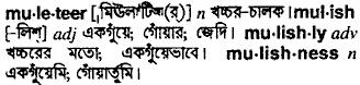 Muleteer meaning in bengali