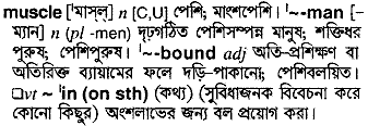 Muscle meaning in bengali