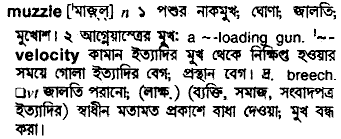 Muzzle meaning in bengali