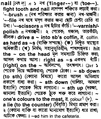 Nail meaning in bengali