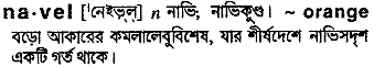 Navel meaning in bengali