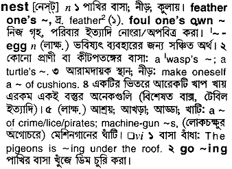 Nest meaning in bengali