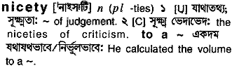 Nicety meaning in bengali