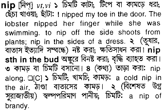 nip 
 meaning in bengali