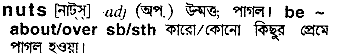 Nuts meaning in bengali