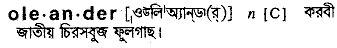 Oleander meaning in bengali