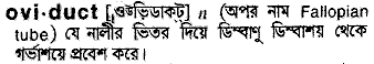 Oviduct meaning in bengali