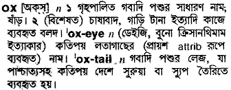 Ox meaning in bengali