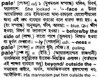 Pale meaning in bengali