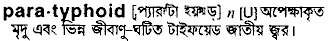 paratyphoid 
 meaning in bengali