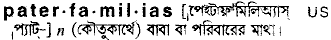 paterfamilias 
 meaning in bengali