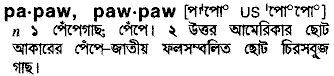 Pawpaw meaning in bengali