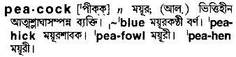 Peacock meaning in bengali