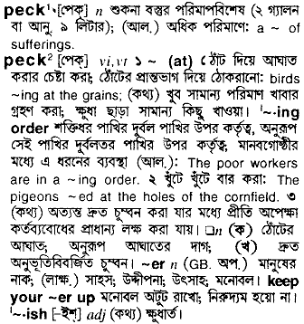 Peck meaning in bengali