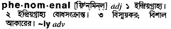 Phenomenal meaning in bengali