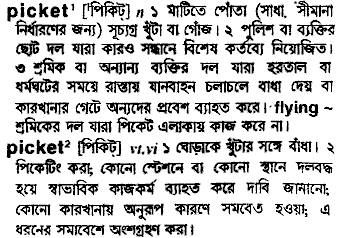 Picket meaning in bengali