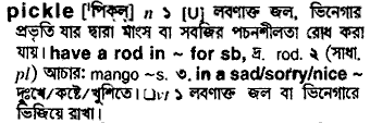 Pickle meaning in bengali