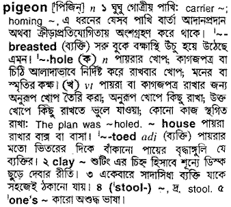 Pigeon meaning in bengali