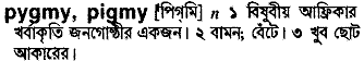 Pigmy meaning in bengali