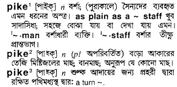 Pike meaning in bengali