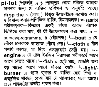 Pilot meaning in bengali