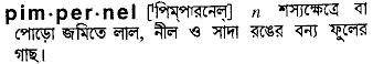 Pimpernel meaning in bengali