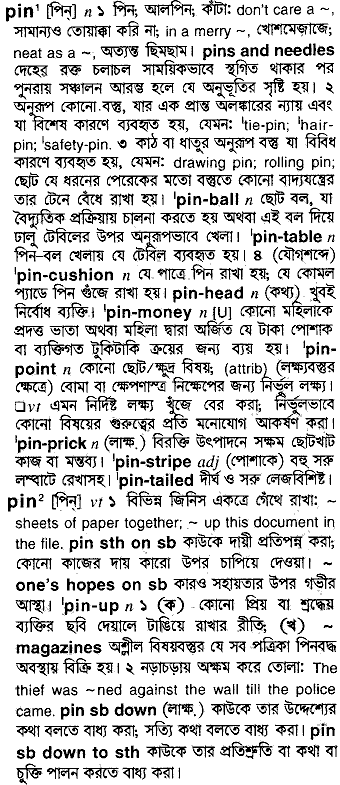 Pin meaning in bengali