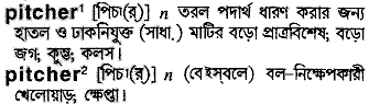 Pitcher meaning in bengali