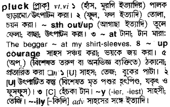 Pluck meaning in bengali