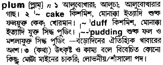 Plum meaning in bengali