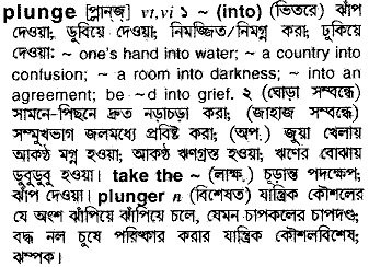 Plunge meaning in bengali