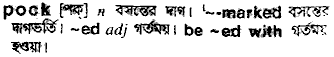 Pock meaning in bengali