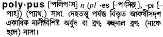 Polypus meaning in bengali