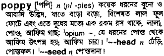 Poppy meaning in bengali