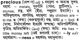 Precious meaning in bengali