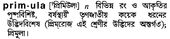 primula 
 meaning in bengali