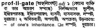 Profligate meaning in bengali