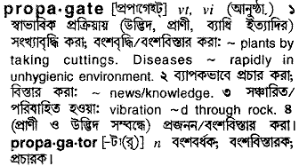 Propagate meaning in bengali