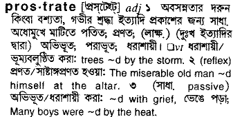 Prostrate meaning in bengali