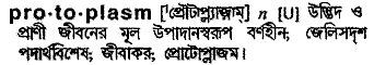 Protoplasm meaning in bengali