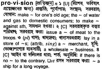 Provision meaning in bengali