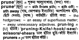 Prune meaning in bengali