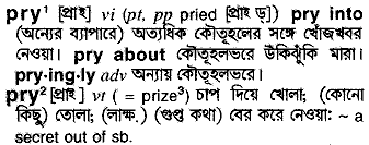 Pry meaning in bengali