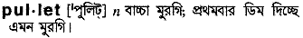 pullet 
 meaning in bengali