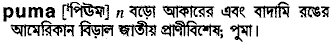 Puma meaning in bengali