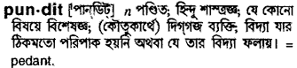 Pundit meaning in bengali