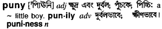 Puny meaning in bengali