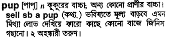 Pup meaning in bengali