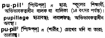 Pupil meaning in bengali